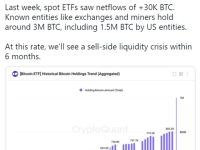 ETF再这么买下去，六个月后比特币就“卖光”了