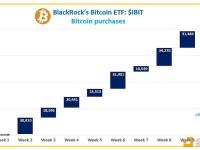 HODL15Capital：在10周内贝莱德的比特币ETF买入的比特币超过了所有比特币的1%