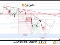 比特币价格能跌到多低？分析争议“黑天鹅事件”