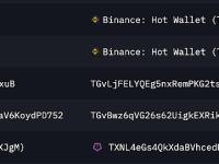 孙宇晨过去7小时累计向Binance充值1.66亿枚USDT