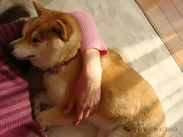 图片[1] - 狗狗币原型柴犬去世