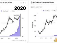 Ki Young Ju：BTC市场目前的氛围与2020年中期一样