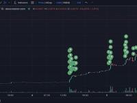 5个钱包近24小时从币安提取779枚BNB买入14.92万亿枚WHY