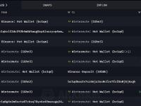 Wintermute 于过去的 30 分钟内从 Binance 和 Coinbase 共计提取506枚BTC ，约合 3415 万美元
