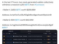 两新建钱包近17小时内共从Coinbase提取4253枚BTC