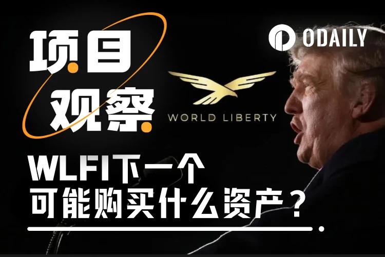 图片[1] - 特朗普家族项目WLFI接下来可能买入哪些资产？