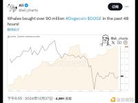 过去48小时鲸鱼买入价值超9000万美元的DOGE