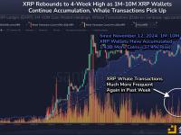 XRP巨鲸在过去两个月内增持14亿枚XRP，价值约38亿美元