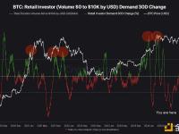30 天比特币散户投资者需求已降至 -22%
